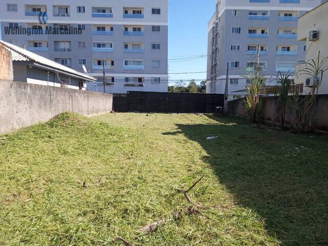 #TE13 - Terreno para Venda em Palhoça - SC - 1